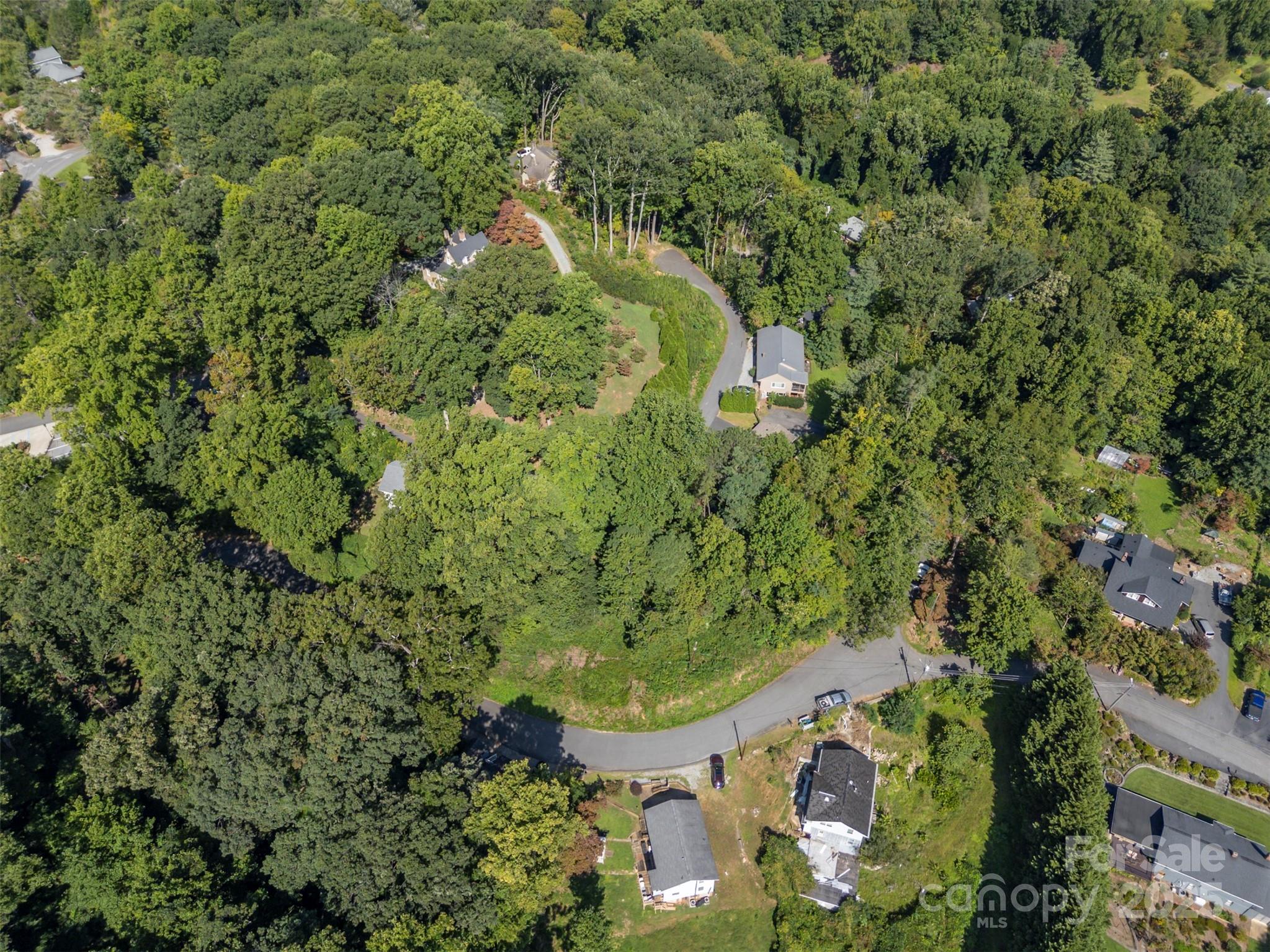0 Hillside Court Tryon, NC 28782 - Photo 7 of 13 an aerial view of residential house with outdoor space and trees all around