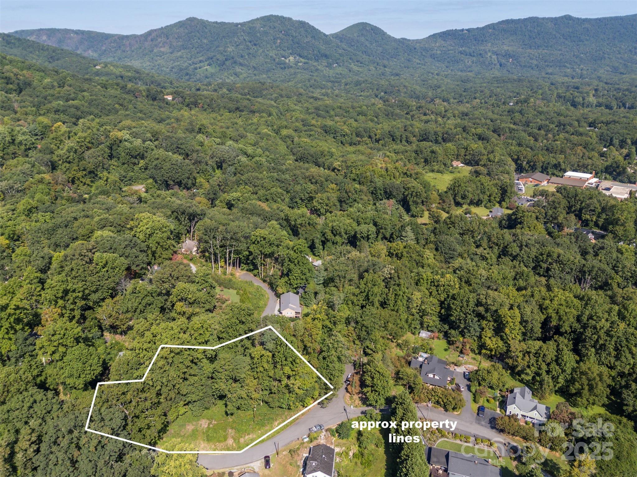 0 Hillside Court Tryon, NC 28782 - Photo 8 of 13 a view of a forest with a forest