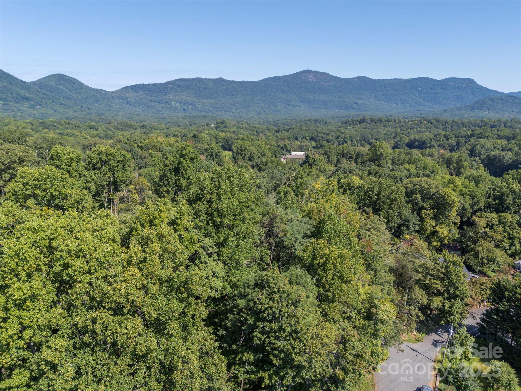 0 Hillside Court Tryon, NC 28782 - Photo 10 of 13 a view of mountain and a mountain in the background