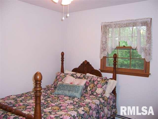 409 Ravine Street Port Byron, IL 61275 - Photo 11 of 24 Gallery Image 11