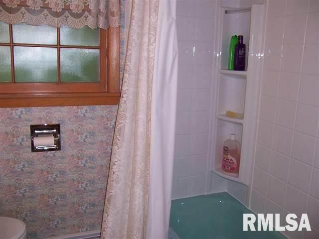 409 Ravine Street Port Byron, IL 61275 - Photo 13 of 24 Gallery Image 13