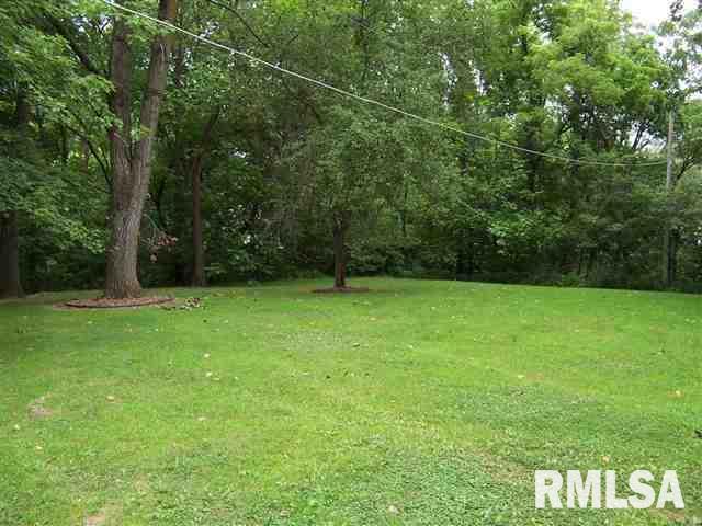 409 Ravine Street Port Byron, IL 61275 - Photo 17 of 24 Gallery Image 17