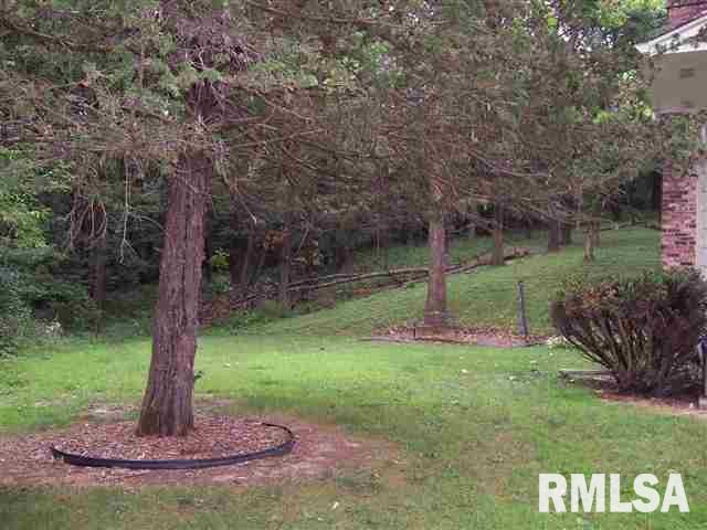 409 Ravine Street Port Byron, IL 61275 - Photo 18 of 24 Gallery Image 18