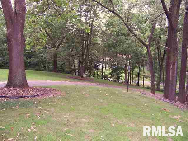 409 Ravine Street Port Byron, IL 61275 - Photo 19 of 24 Gallery Image 19