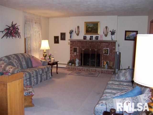 409 Ravine Street Port Byron, IL 61275 - Photo 3 of 24 Gallery Image 3