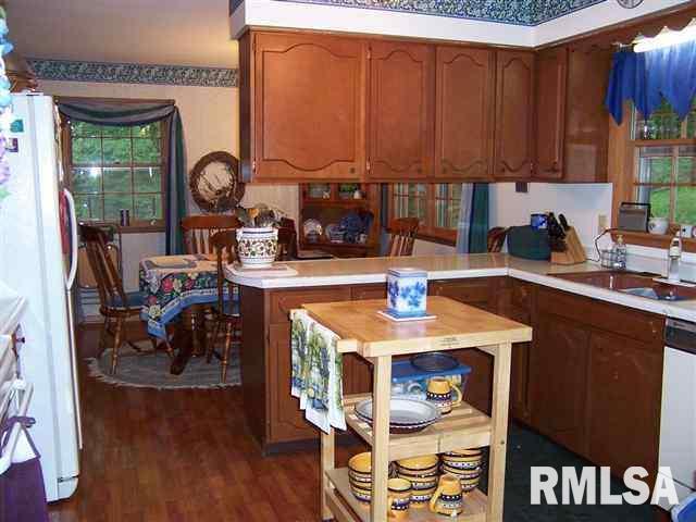 409 Ravine Street Port Byron, IL 61275 - Photo 8 of 24 Gallery Image 8