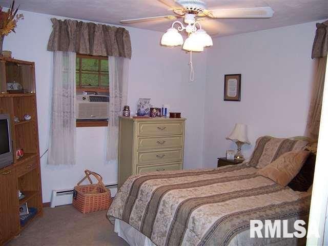 409 Ravine Street Port Byron, IL 61275 - Photo 10 of 24 Gallery Image 10