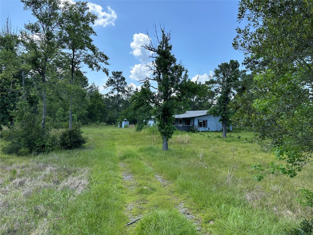 2736 Whitetail Forest Road Kountze, TX 77625 - Photo 3 of 8 a view of a garden with a tree
