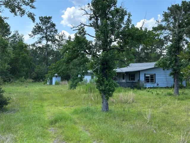 a backyard of a house with plants and tree