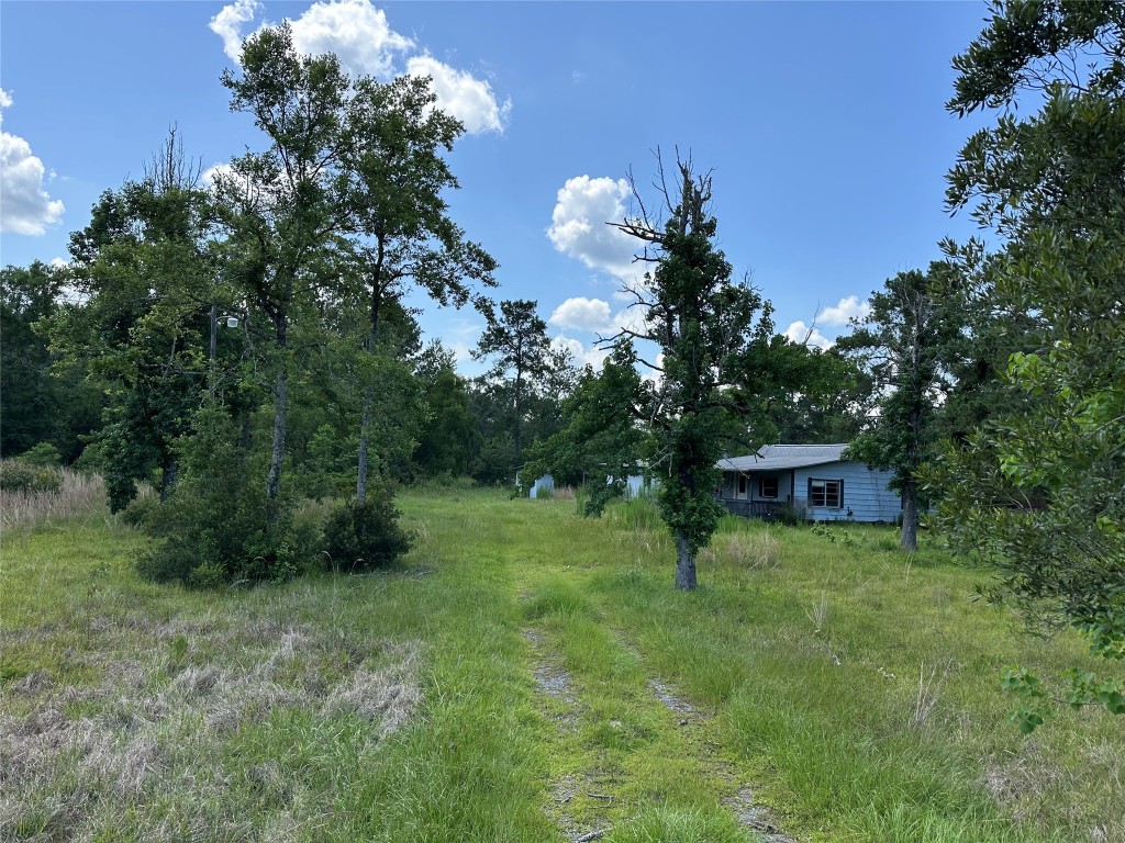 2736 Whitetail Forest Road Kountze, TX 77625 - Photo 6 of 8 a view of a house with a yard