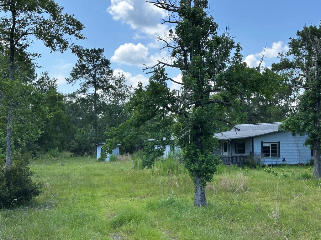 2736 Whitetail Forest Road Kountze, TX 77625 - Photo 8 of 8 a view of a house with a backyard