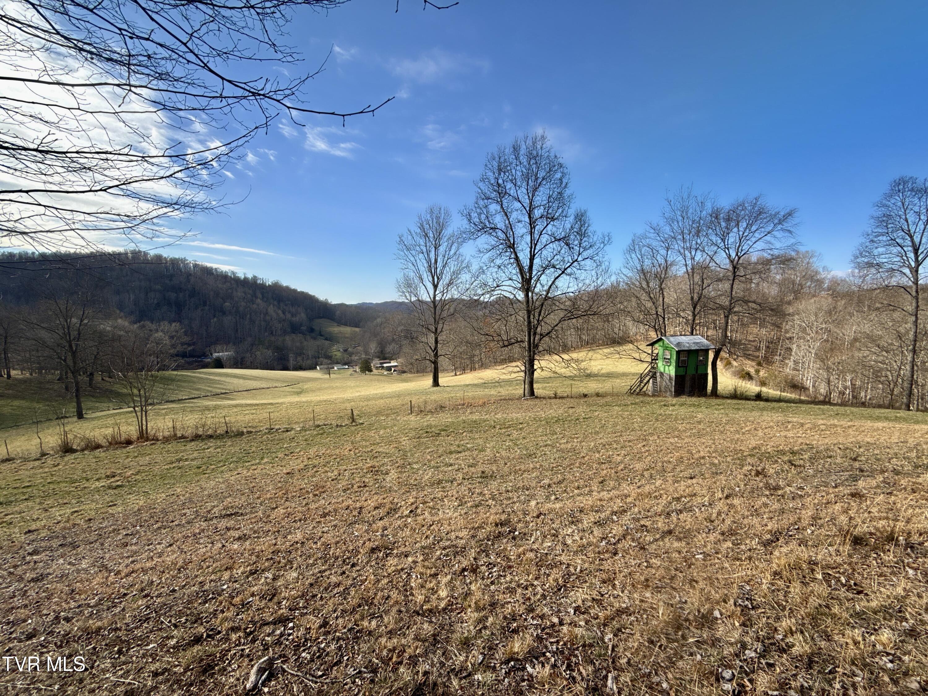 219 Ridge Road Eidson, TN 37731 - Photo 12 of 72 _Pic3 (39)