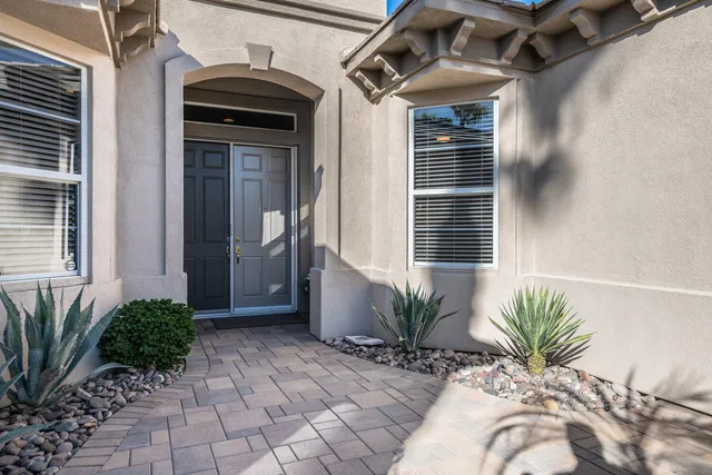 a potted plant in front of a house