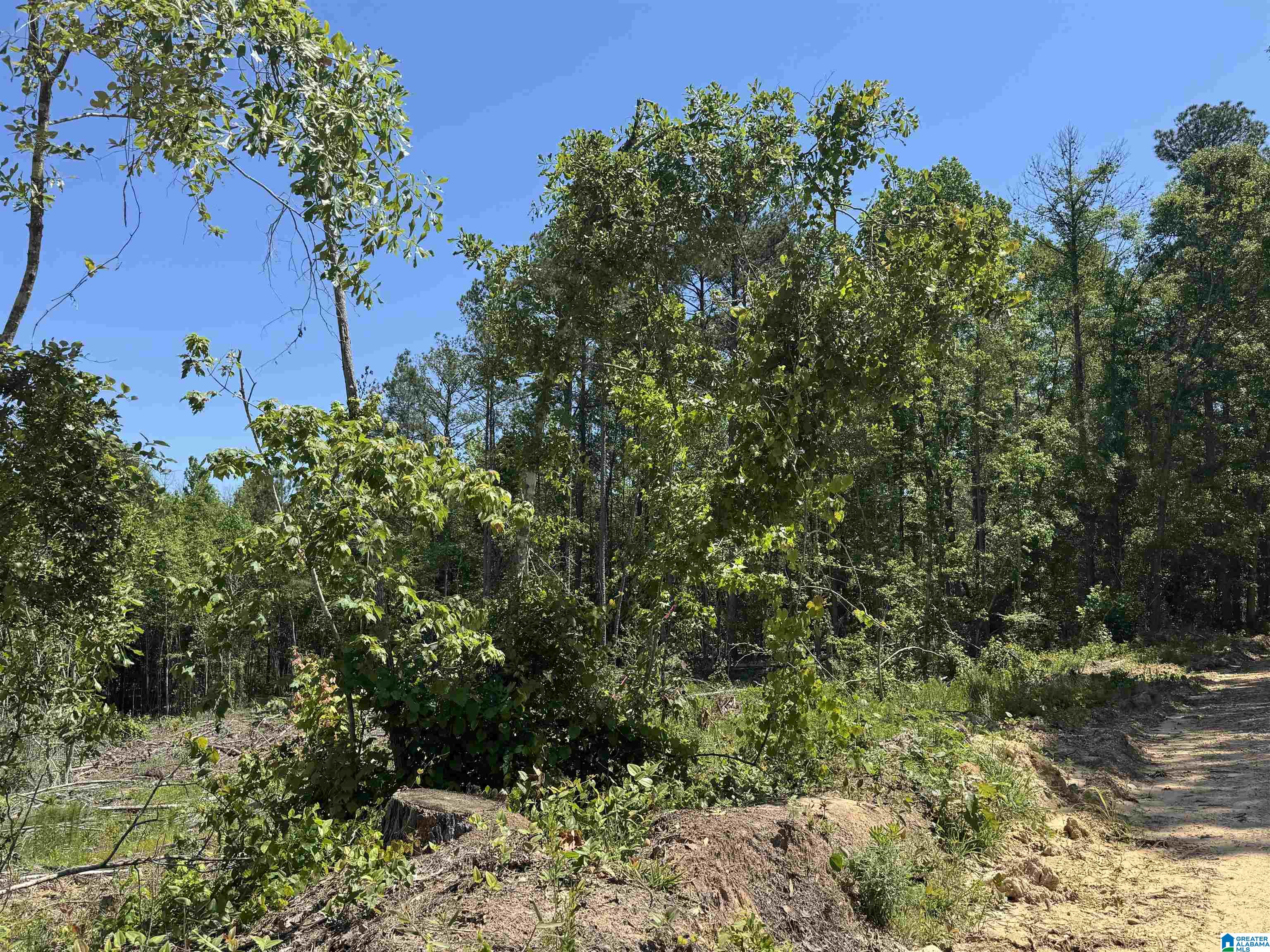 Active Road, Unit 3 Lawley, AL 36793 - Photo 7 of 20