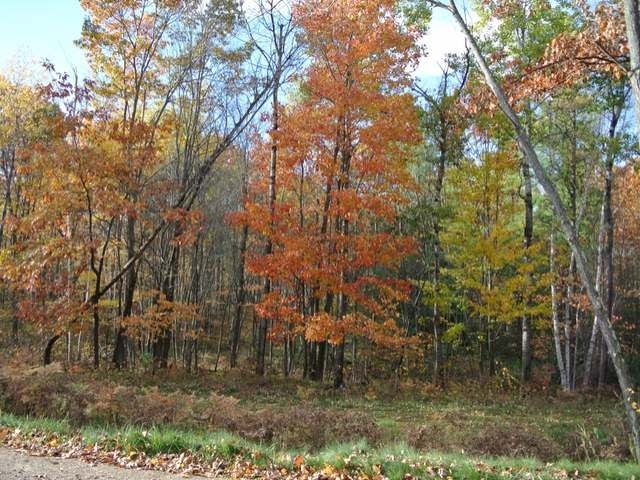 Lot 2 Sutton Road Minocqua, WI 54548 - Photo 1 of 5 Gallery Image 1