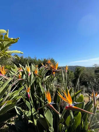 $1,699,000 | 132 Pax Pl Court, Aptos, CA 95003