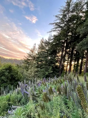 $1,998,888 | 132 Pax Pl Court, Aptos, CA 95003