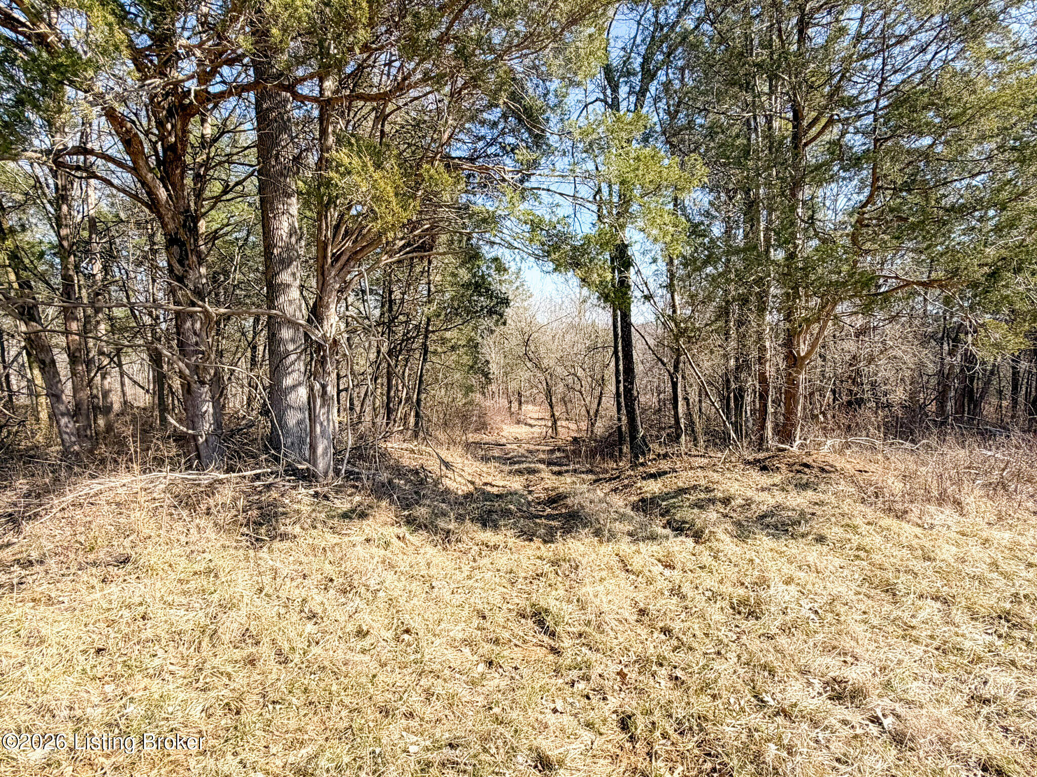 4338 Waddy Road Waddy, KY 40076 - Photo 22 of 39 Property View