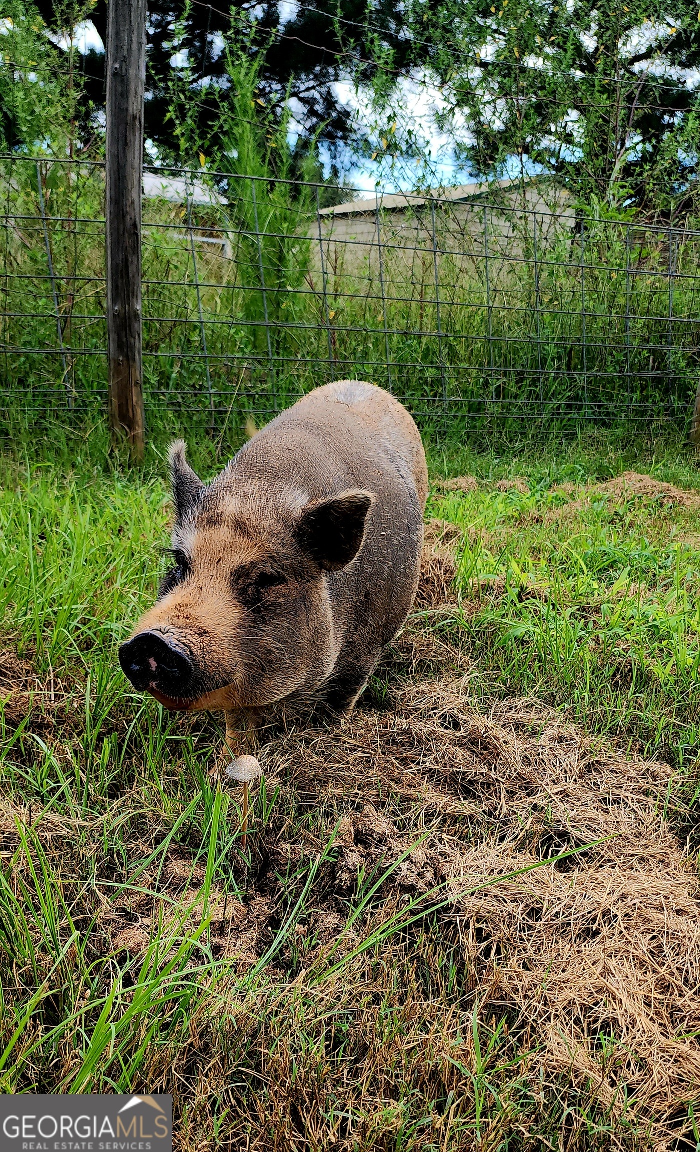 1579 Bates Road Concord, GA 30206 - Photo 41 of 52 a backyard of a house with a yard and outdoor seating