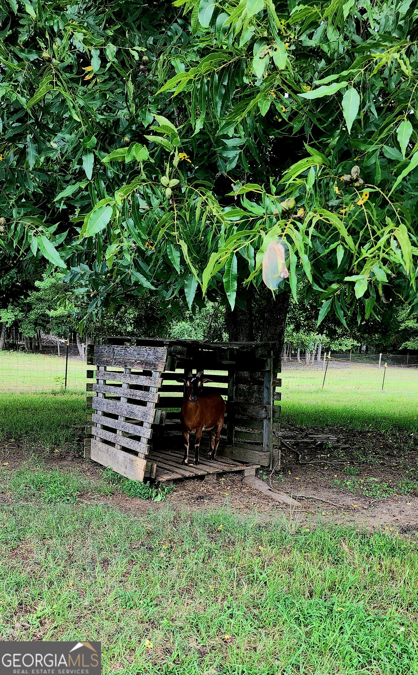 1579 Bates Road Concord, GA 30206 - Photo 42 of 52 a backyard of a house with lots of green space