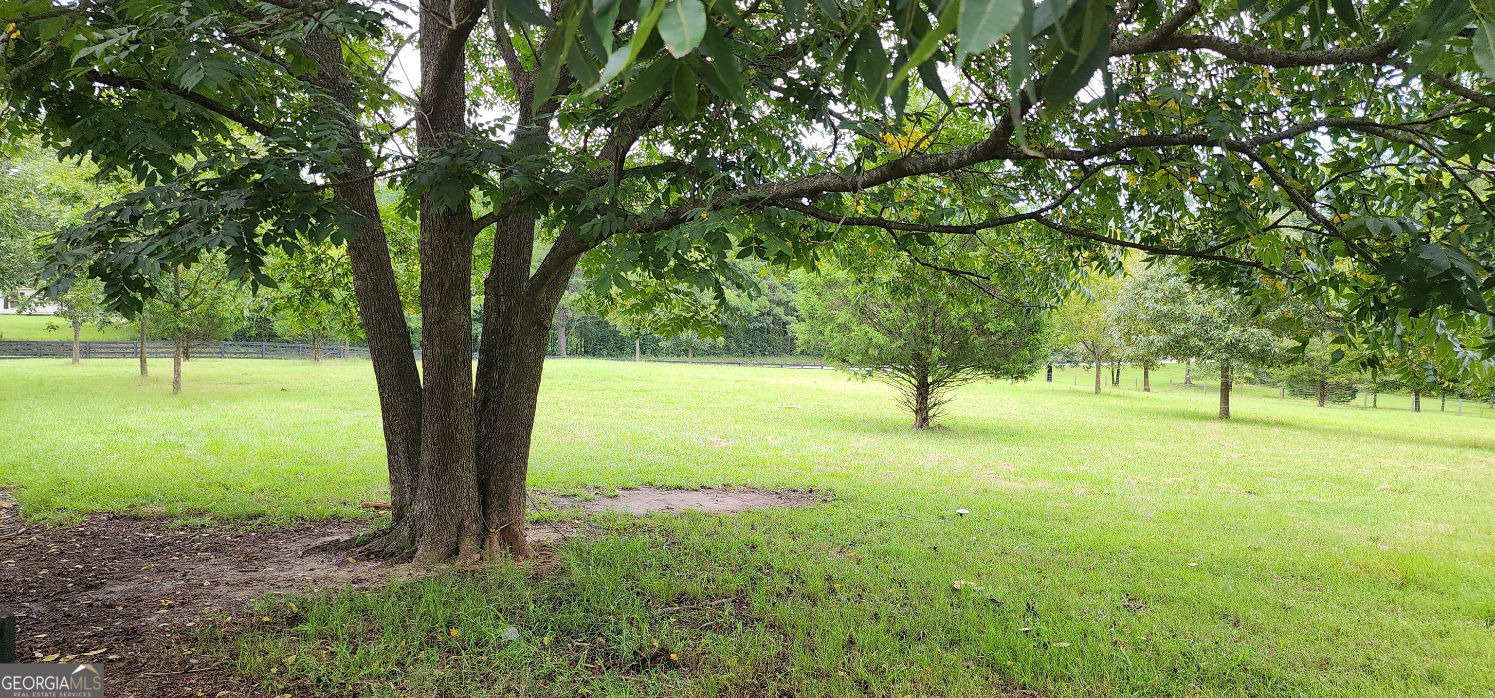 1579 Bates Road Concord, GA 30206 - Photo 48 of 52 a view of an trees with a yard