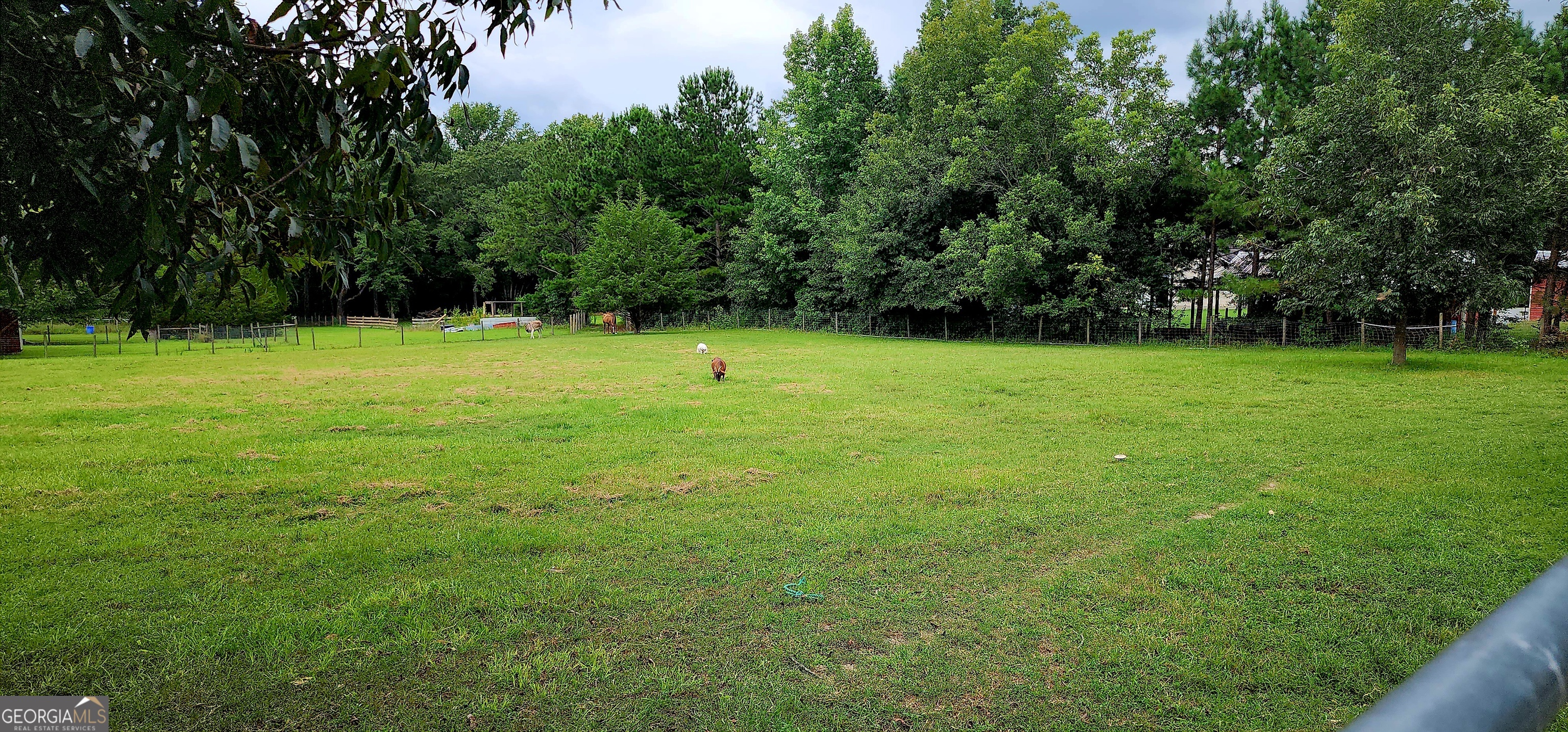 1579 Bates Road Concord, GA 30206 - Photo 7 of 52 a view of outdoor space and yard