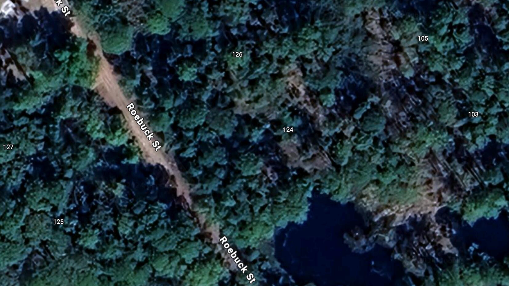 124 Roebuck Road Georgetown, FL 32139 - Photo 2 of 5 a view of a tree in a garden