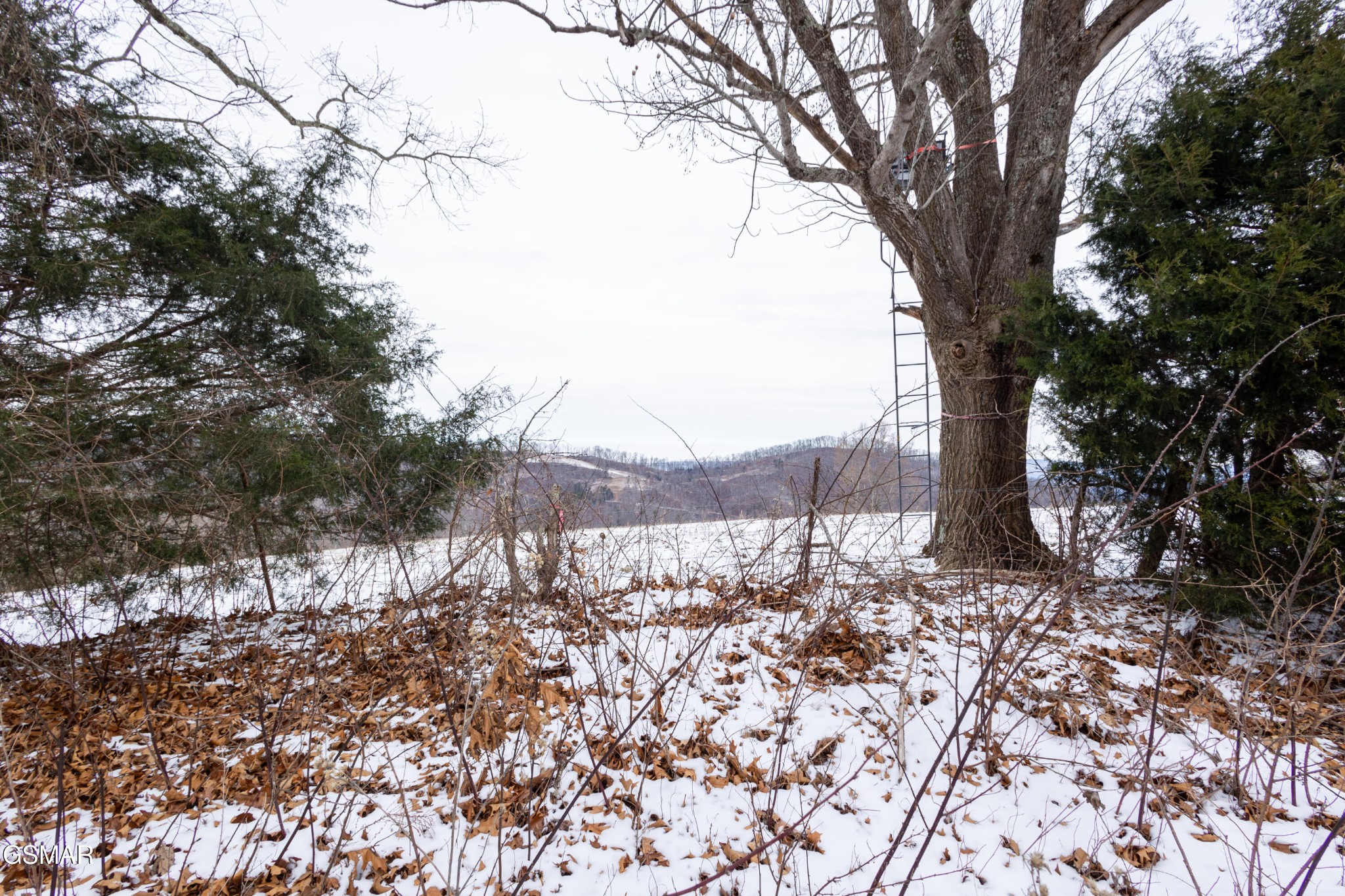 0 Little Sycamore Road Tazewell, TN 37879 - Photo 11 of 22 Gallery Image 11
