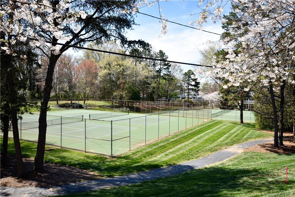 1133 Torrence Circle Davidson, NC 28036 - Photo 23 of 25 a view of a backyard