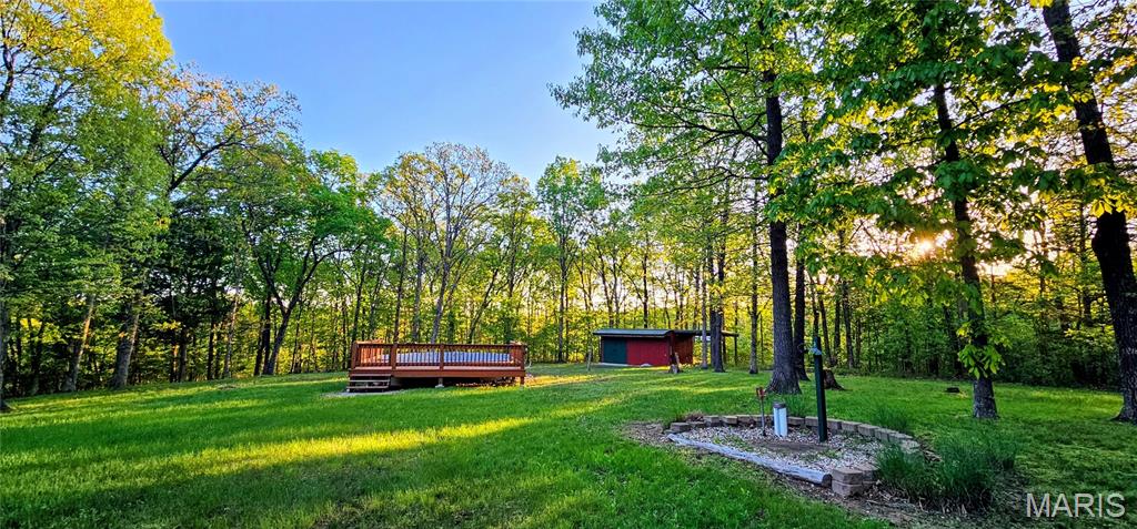 15689 State Rd T De Soto, MO 63020 - Photo 5 of 5