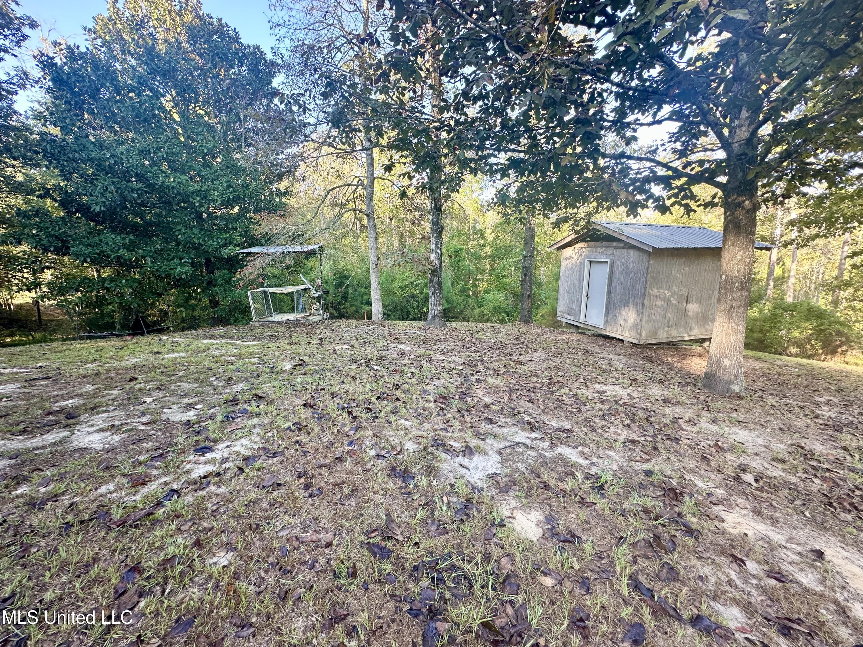 31 Walter Penton Road Carriere, MS 39426 - Photo 10 of 12 IMG_4205