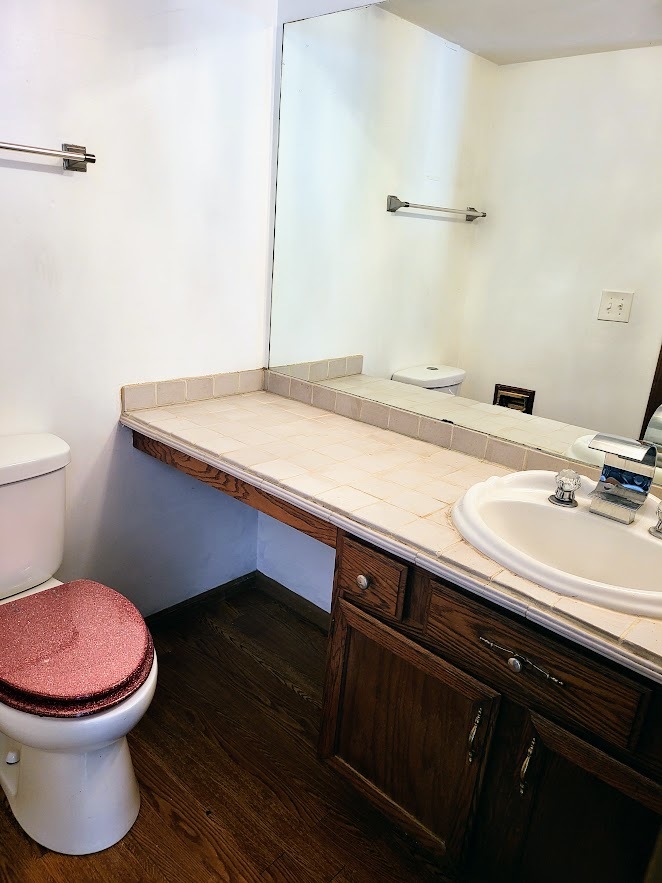 719 Radnor Drive Roselle, IL 60172 - Photo 7 of 18 a bathroom with a sink and a toilet
