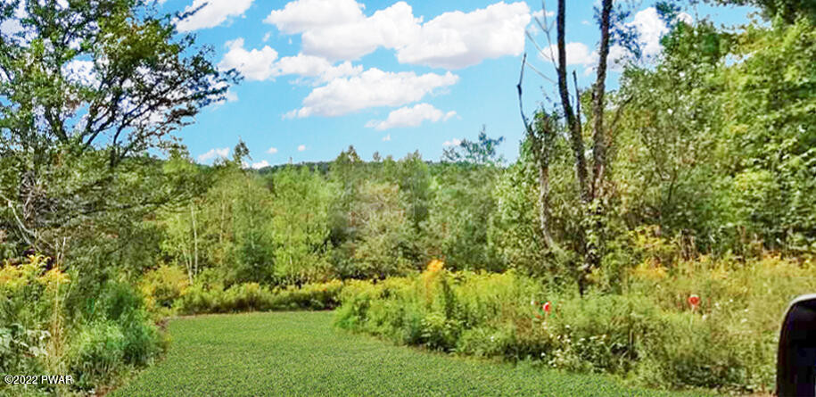 Beaver Hollow Road Starrucca, PA 18462 - Photo 7 of 15