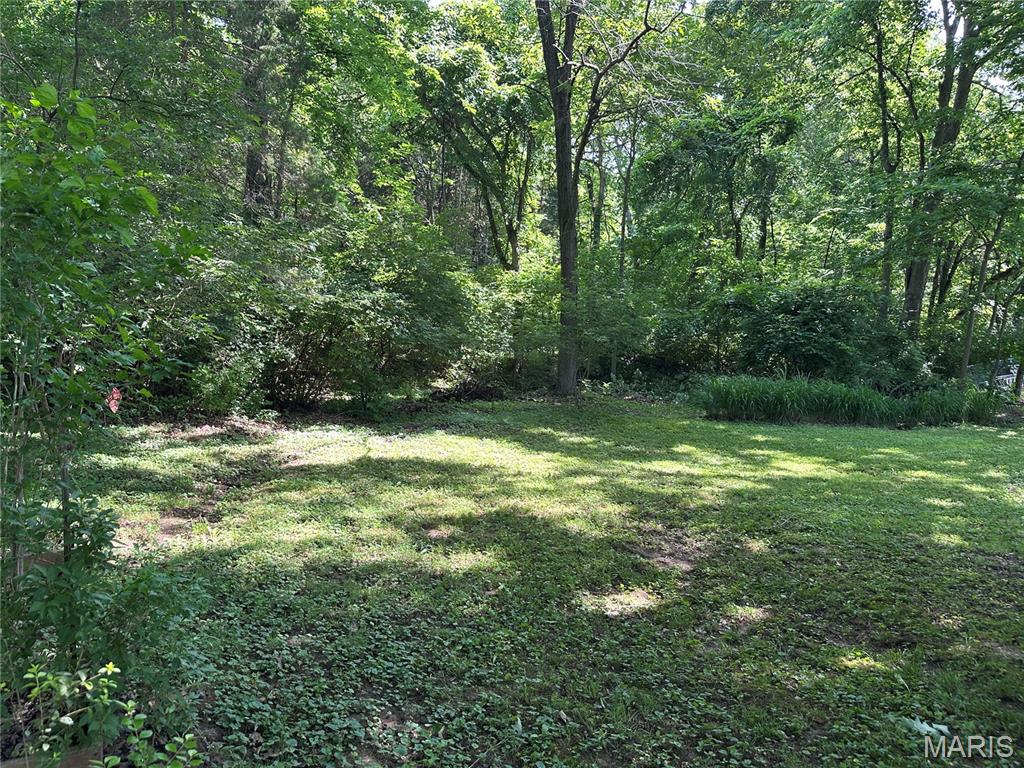 7727 Local Hillsboro Road Cedar Hill, MO 63016 - Photo 27 of 42