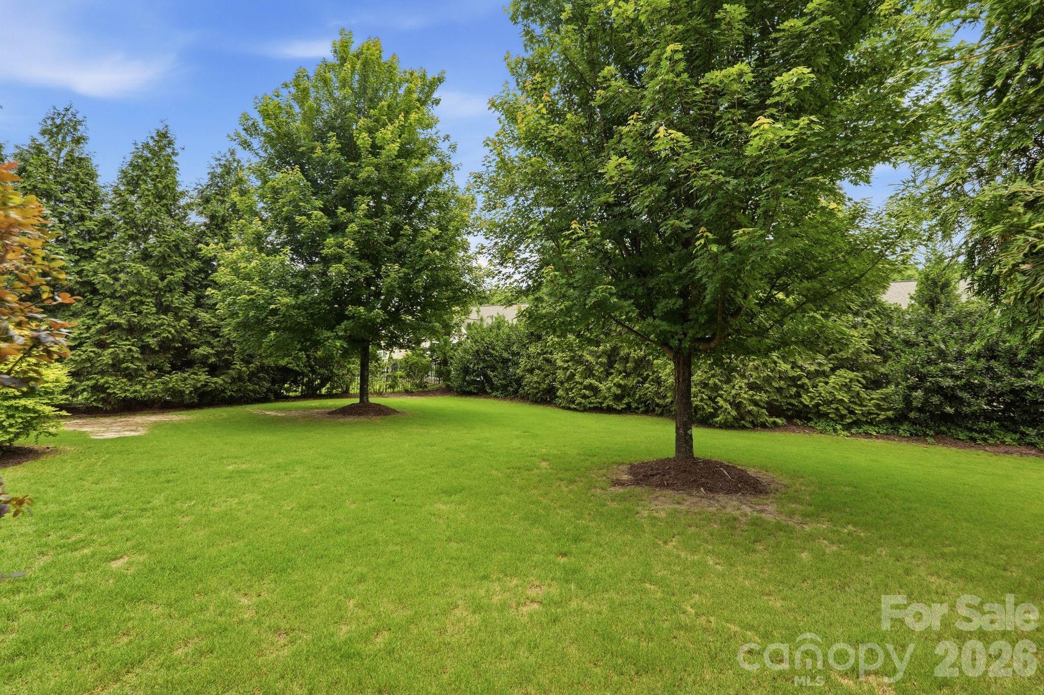 524 Rosemary Lane Tega Cay, SC 29708 - Photo 5 of 35