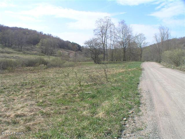 Maple Road Susquehanna, PA 18847 - Photo 4 of 9