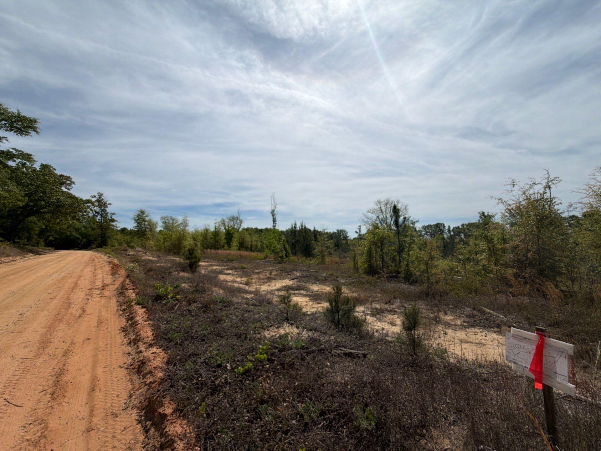 6 Rogers Cemetery Road, Unit RRF 6 Salley, SC 29137 - Photo 1 of 19