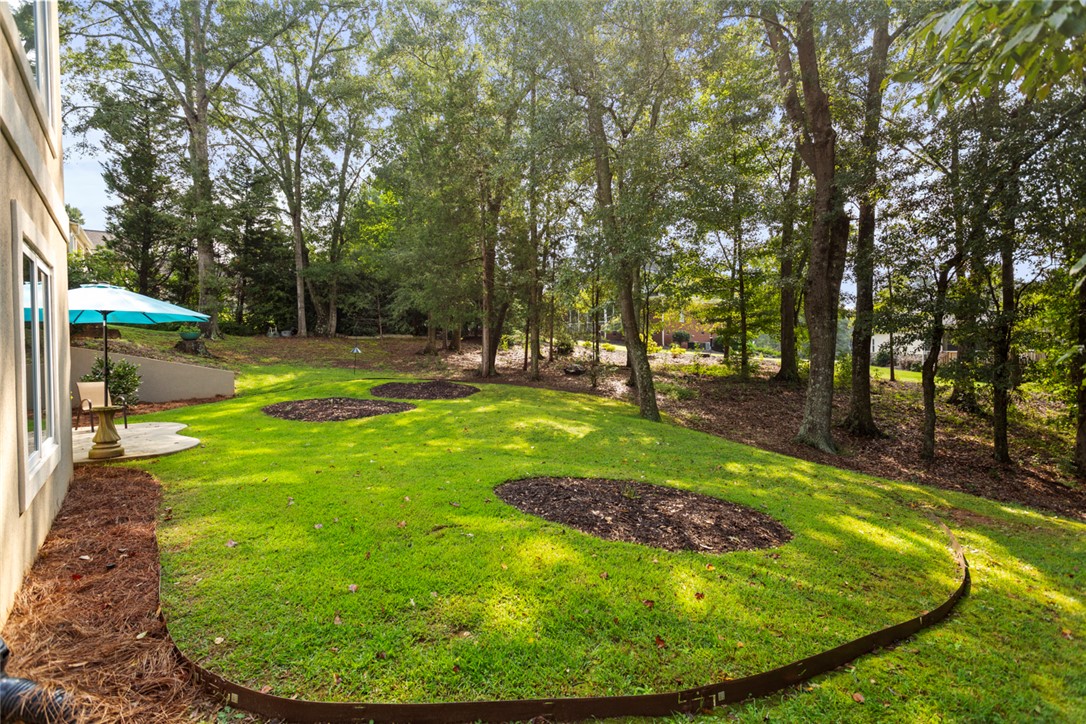 3902 Turnberry Loop Seneca, SC 29678 - Photo 10 of 45