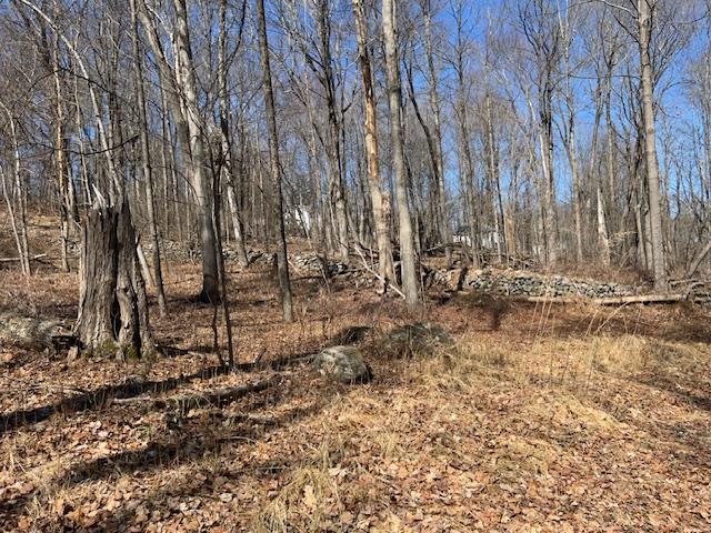 Es Pressler Road Wallkill, NY 12550 - Photo 11 of 32