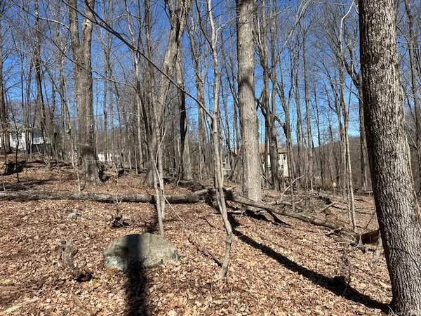 a view of a yard with trees