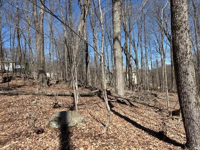 a view of a yard with trees
