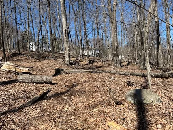 a view of outdoor space with lots of trees