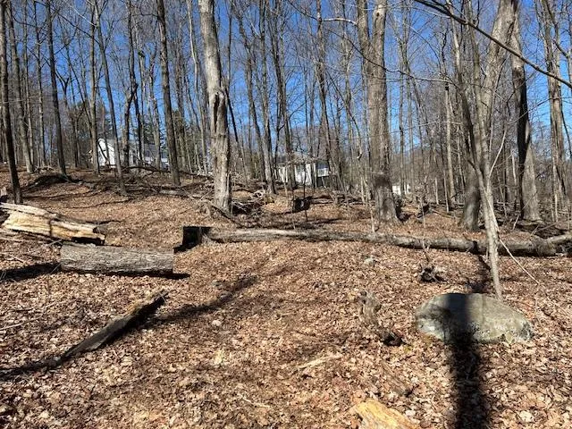 a view of outdoor space with lots of trees