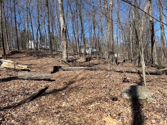 Es Pressler Road Wallkill, NY 12550 - Photo 14 of 32 a view of outdoor space with yard