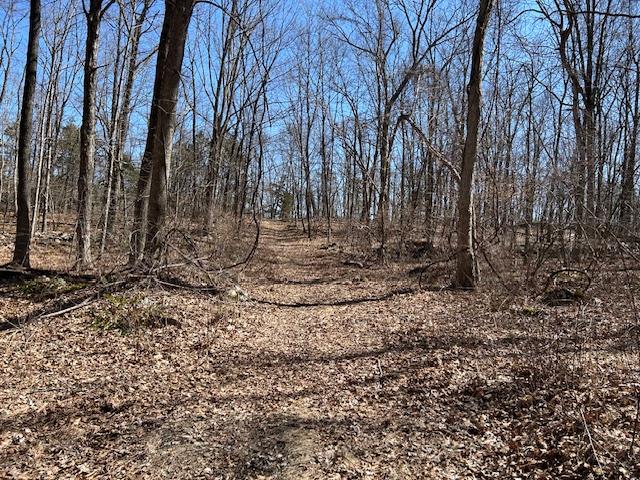 Es Pressler Road Wallkill, NY 12550 - Photo 16 of 32 a view of a backyard with large trees