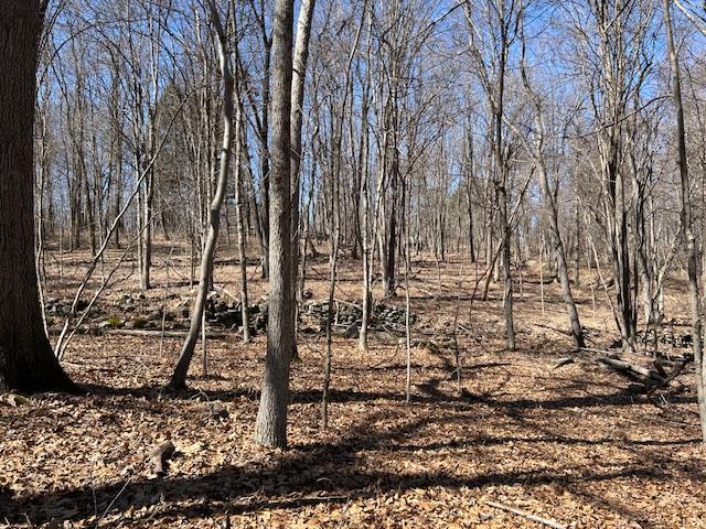Es Pressler Road Wallkill, NY 12550 - Photo 17 of 32 a view of a yard with trees