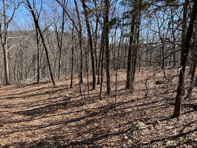 Es Pressler Road Wallkill, NY 12550 - Photo 19 of 32 a view of a yard with lots of trees