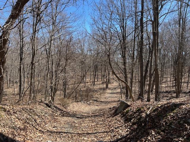 Es Pressler Road Wallkill, NY 12550 - Photo 2 of 32 a view of a yard
