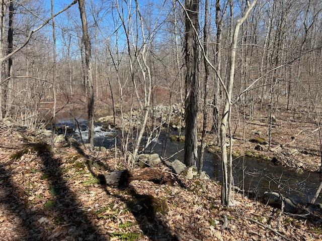 Es Pressler Road Wallkill, NY 12550 - Photo 21 of 32 a view of outdoor space