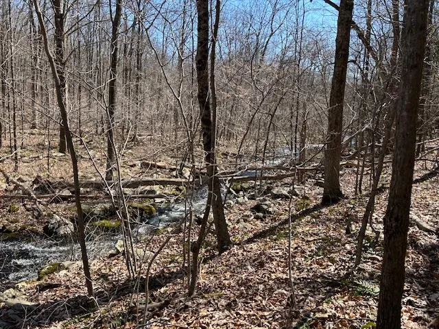 a view of field with trees